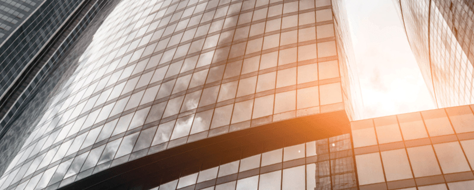 Employees Considered Most Important to Companies' LongTerm Success