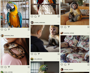 DOVE: Beauty Never Gets Old