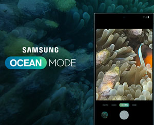 DOVE: You Craved, We Crumbl’d