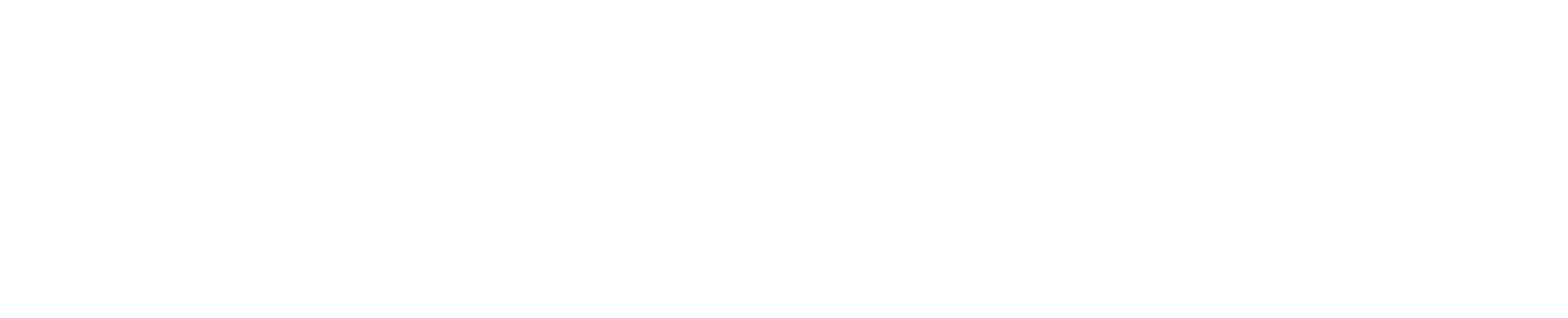 The Great Gen Z Divide