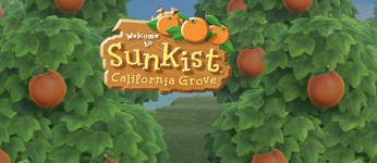 Sunkist
